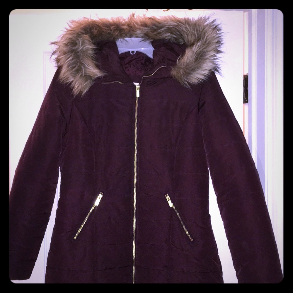 Winter Jacket